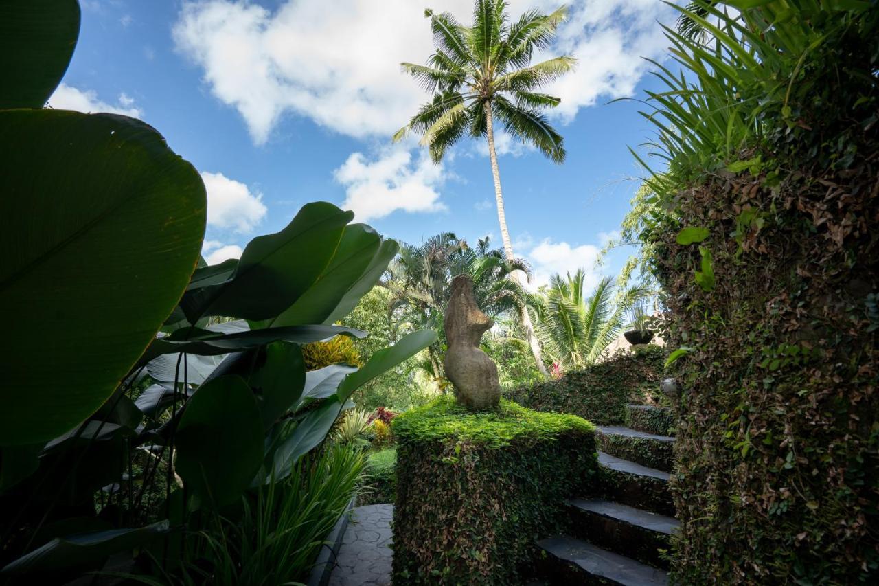 Kupu Kupu Private Villa Ubud Zewnętrze zdjęcie