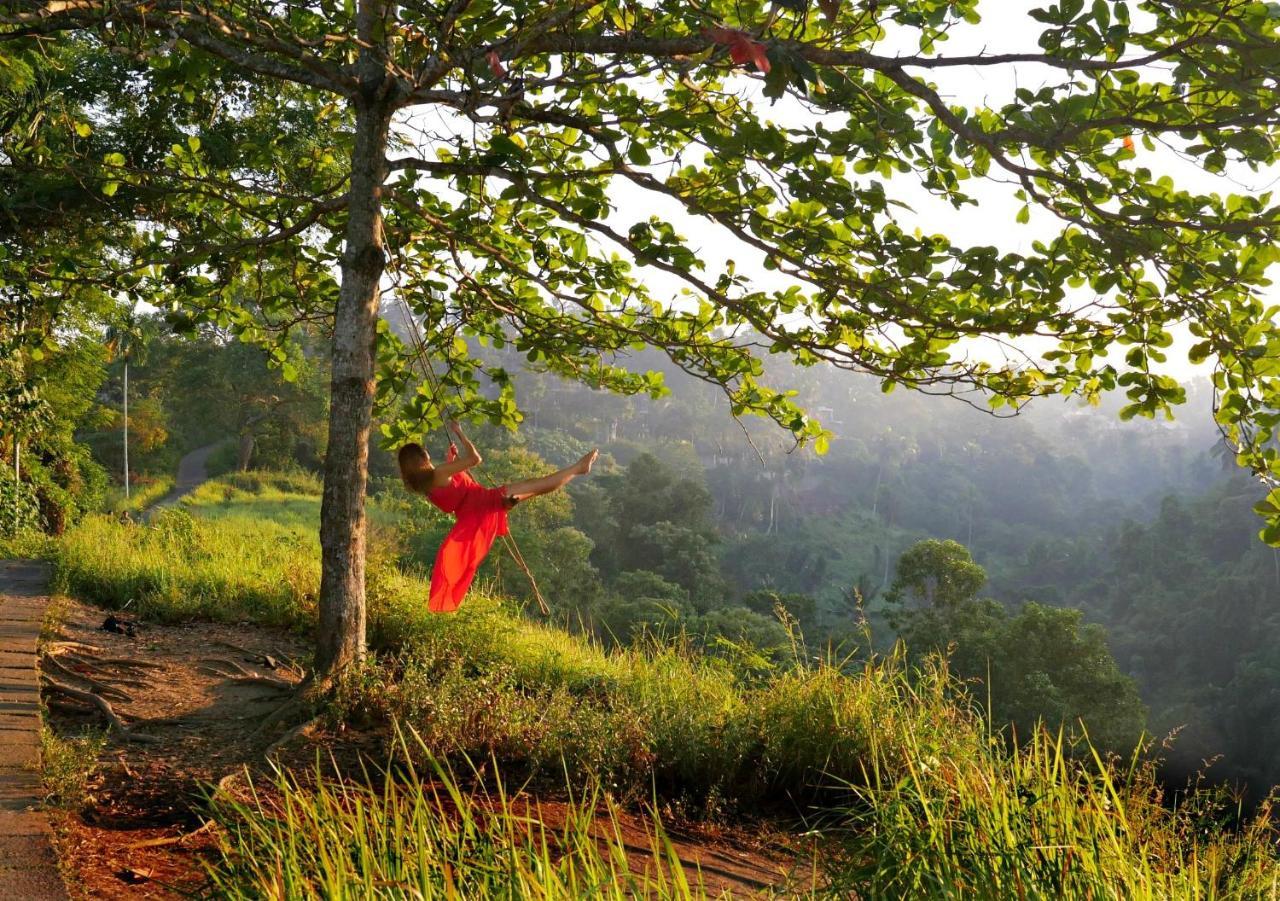 Kupu Kupu Private Villa Ubud Zewnętrze zdjęcie